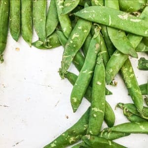 Petits Pois à écosser