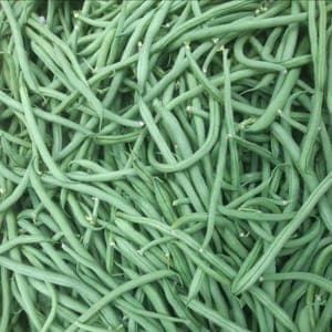 HARICOTS VERTS