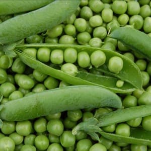 Petits poisà écosser