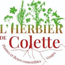 L'Herbier de Colette #1