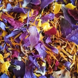 L'Herbier de Colette #3