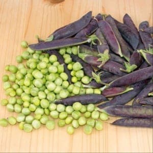 Petit pois (à écosser)