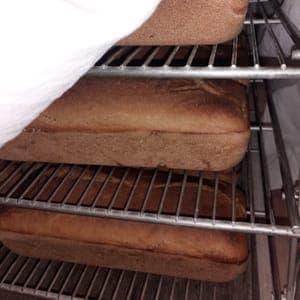 pain de petit épeautre PUR LEVAIN 500g