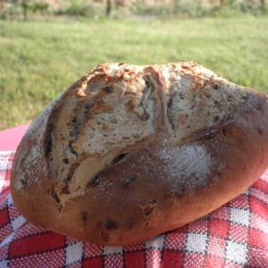 PAIN BIS DE BLES ANCIENS AUX RAISINS PUR LEVAIN 500G