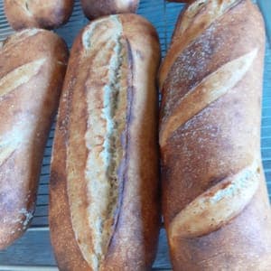 Pain bis PUR LEVAIN 500G