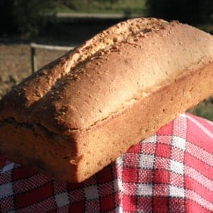 pain bis sésame PUR LEVAIN 500G