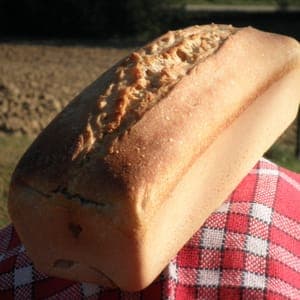PAIN BIS 800G AUX BLES ANCIENS PUR LEVAIN 