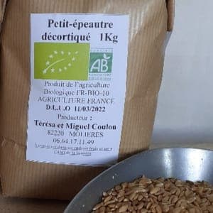 Petit épeautre en grains