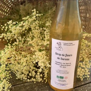 sirop de fleurs de sureau