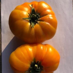 Tomates ananas