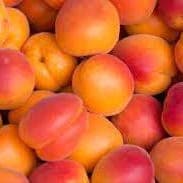 abricots