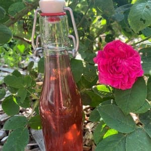 Sirop de rose