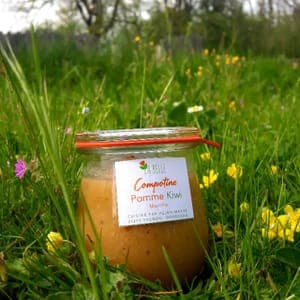 Compotine Pomme Kiwi Menthe