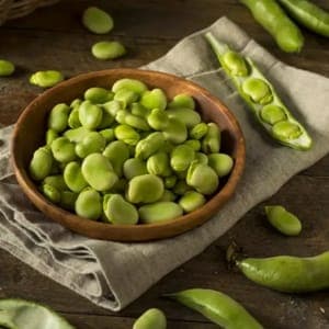 Fèves fraiches à écosser
