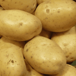 pomme de terre