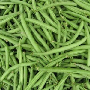 Haricots verts