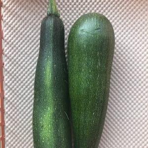 2 Grosses Courgettes
