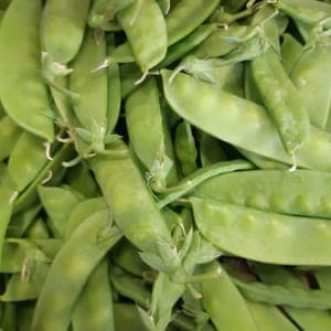 Pois mange-tout