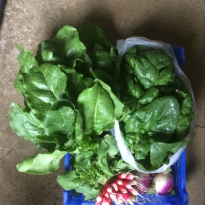 Logo de Jeudi retrait légumes de la Cantiniere
