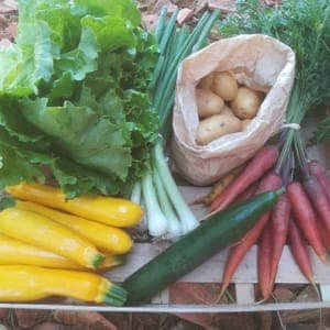 Grand panier de légumes de la semaine Bordeaux