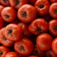 Tomate ronde