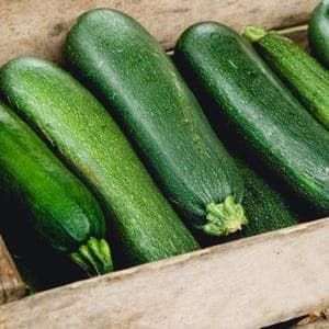 courgette