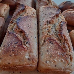 pain au lin tournesol  PUR LEVAIN 500g