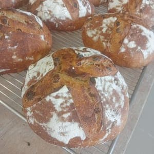 PAIN BIS DE BLES ANCIENS AUX RAISINS PUR LEVAIN 500G