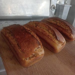 pain bis de BLES ANCIENS  MI-FIGUES  /MI DATTES PUR LEVAIN 500g
