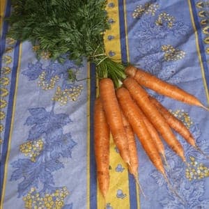 Carottes botte (pensez à cuisiner les fanes en quiche par exemple)