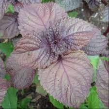 Aromatique