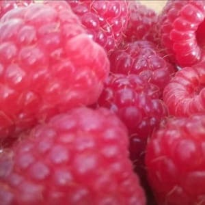 framboises