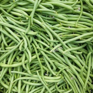 Haricot vert