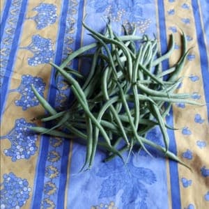 Haricots verts extra frais