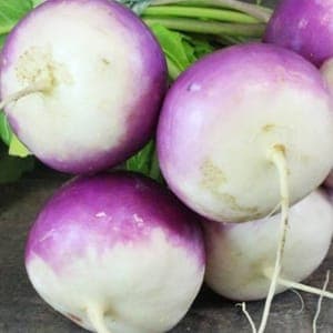 Navet nouveau vrac, jaune, violet ou blanc