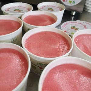 Sorbet Géranium odorant~Tayberry