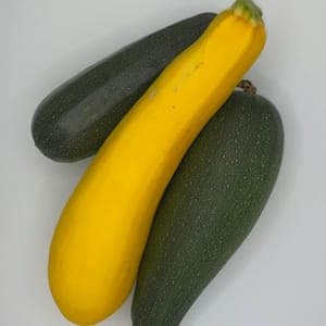 Courgette verte