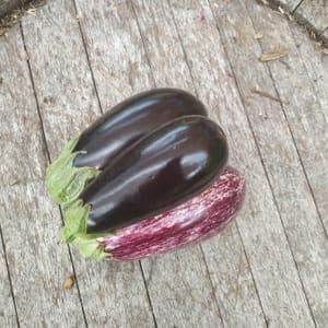 Aubergines Mélange