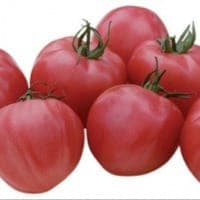 Tomate rose japonaise