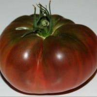 Tomate Marnouar