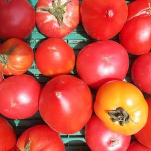 Tomates anciennes en mélange