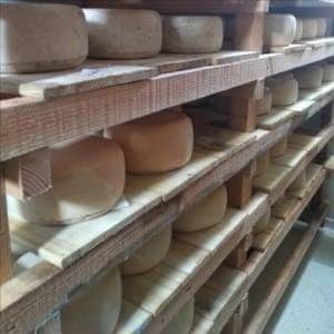 Tomme de brebis par 1/2 meule