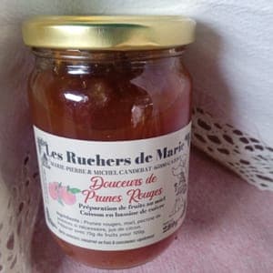 DOUCEURS DE PRUNES ROUGES
