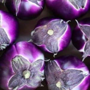 Aubergine violette