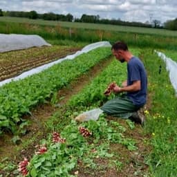 Les Jardins du Prémongis #0