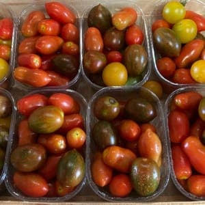 Tomates cocktail en barquette envi. 300g