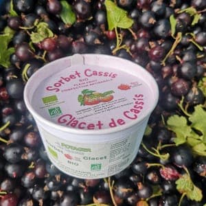 Sorbet Cassis