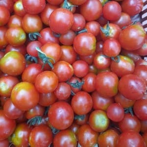 TOMATES CERISES Barquette 250g