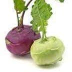 choux rave (Aigue Vive)