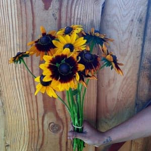 Botte de Fleurs